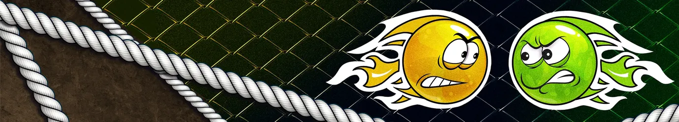 Liga MMA Internasional